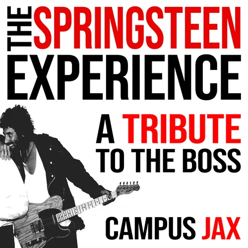 The Springsteen Experience